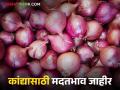 Kanda Market : कांदा उत्पादकांना दिलासा, 'या' राज्य सरकारकडून कांद्यासाठी मदतभाव जाहीर - Marathi News | Latest news kanda Maarket Andhra Pradesh government announces Rs 1200 per quintal support price for onion | Latest agriculture News at Lokmat.com