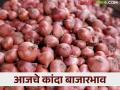 Kanda Bajarbhav : जुन्नर बाजारात चिंचवड कांद्याची चलती, आज काय भाव मिळाला?  - Marathi News | Latest News Kanda Bajarbhav Chinchwad onion price in Junnar market, see today market price | Latest agriculture News at Lokmat.com
