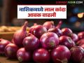 Kanda Market Update : लाल कांदा घसरला, नाशिक, सोलापूर बाजारात काय भाव मिळतोय? वाचा सविस्तर  - Marathi News | Latest News Kanda Market Update Red onion market down see todays market price in nashik and solapur | Latest agriculture News at Lokmat.com
