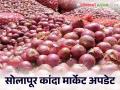 Kanda Market Update : सोलापूरपेक्षा धुळे बाजारात लाल कांद्याला सर्वाधिक भाव, वाचा आजचे बाजारभाव - Marathi News | Latest News Kanda Market Update Red onion prices highest in Dhule market than Solapur see kanda bajarbhav | Latest agriculture News at Lokmat.com
