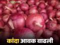 Kanda Market : चाकण बाजार समितीत कांद्याची दुप्पट आवक; कसा मिळाला दर? - Marathi News | Kanda Market : Double arrival of onions in Chakan Market Committee; How did the price get? | Latest agriculture News at Lokmat.com