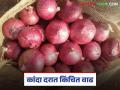 पारनेर बाजार समितीत कांद्याच्या भावात किंचित वाढ; वाचा नंबर १ कांद्याला काय मिळाला दर? - Marathi News | Onion prices slightly increased in Parner Market Committee; Read what price did number 1 onion get? | Latest agriculture News at Lokmat.com