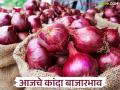 सर्वाधिक आवक असलेल्या सोलापूरच्या लाल तर कळवणच्या उन्हाळ कांद्याला काय मिळतोय दर? वाचा आजचे कांदा बाजारभाव - Marathi News | What is the price of red onion from Solapur, which has the highest arrivals, and summer onion from Kalvan? Read today's onion market price | Latest agriculture News at Lokmat.com