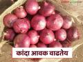 Kanda Bajar Bhav : श्रीरामपूर कांदा मार्केटमध्ये निर्यात शुल्क हटविल्याचा परिणाम; दरात आली तेजी - Marathi News | Kanda Bazaar Bhav : Result of removal of export duty in Shrirampur onion market; Prices rise | Latest agriculture News at Lokmat.com