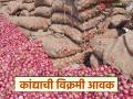 राज्यात 'या' मार्केटमध्ये यंदाच्या हंगामातील सर्वाधिक कांद्याची आवक; वाचा काय मिळाला दर? - Marathi News | This market in the state received the highest supply of onions this season; read to find out what price they fetched? | Latest agriculture News at Lokmat.com