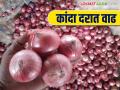 Kanda Bajar Bhav : सोलापूर बाजार समितीत कांद्याच्या दरामध्ये वाढ; असा मिळतोय दर - Marathi News | Kanda Bajar Bhav : Increase in onion prices in Solapur Market Committee; How is the price being obtained? | Latest agriculture News at Lokmat.com