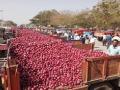 लासलगाव येथील लिलावात कांदा २८६२ रूपये सर्वाधिक दराने लिलाव - Marathi News | Onion sold at the highest price of Rs. 2862 at the auction at Lasalgaon | Latest nashik News at Lokmat.com