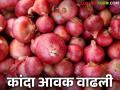 Kanda Bajar Bhav : श्रीरामपुर बाजार समितीत सर्वोत्कृष्ट कांद्याच्या वक्कलास कसा मिळाला दर? - Marathi News | Kanda Bajar Bhav : How did the best onion grade get the best price in Shrirampur Market Committee? | Latest agriculture News at Lokmat.com