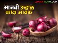 Kanda Bajarbhav : नागपूर बाजारात लाल कांद्याचा दर टिकून, आजचे सविस्तर बाजारभाव - Marathi News | Kanda Bajarbhav Today's detailed market price of red onion in Nagpur market see details | Latest agriculture News at Lokmat.com