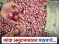 Kanda Anudan : कांदा अनुदानाचे जीआर आला, नाशिकसह इतर जिल्ह्यातील पात्र शेतकऱ्यांना किती पैसे आले? - Marathi News | Latest News Kanda anudan Onion subsidy GR Announced, see list of eligible farmers from Nashik and other districts | Latest agriculture News at Lokmat.com