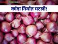 Onion Export : सहा- सात वर्षांत पहिल्यांदा कांद्याची निर्यात सर्वात कमी, जाणून घ्या सविस्तर  - Marathi News | Latest News Onion Export first time in six-seven years export of onion is lowest, know in detail  | Latest agriculture News at Lokmat.com