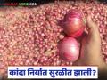 भारतीय कांद्याची जागतिक बाजारातील स्थिती कशी आहे, दर कसे राहतील? वाचा सविस्तर  - Marathi News | Latest News Kanda Market status of Indian onions in global market see details | Latest agriculture News at Lokmat.com