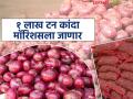 कांदा निर्यातीला वेग येणार; राज्यातील सुमारे १ लाख टनांहून अधिक कांदा मॉरिशसला निर्यात होणार - Marathi News | Onion exports will accelerate; More than 1 lakh tonnes of onion from the state will be exported to Mauritius | Latest agriculture News at Lokmat.com