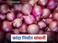 जेएनपीएतून कांदा निर्यात दीड महिन्यांपासून बंद; काय आहे कारण? वाचा सविस्तर - Marathi News | Onion export from JNPA has been stopped for one and a half months; What is the reason? Read in detail | Latest agriculture News at Lokmat.com