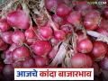 Kanda Market : लासलगावसह राज्यातील कांदा बाजारात काहीशी सुधारणा, काय दर मिळाले? - Marathi News | Latest News Kanda Market todays 13 august onion market in lasalgaon and othe markets | Latest agriculture News at Lokmat.com