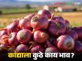 Kanda Bajarbhav: नाशिकच्या 'या' बाजारात कांद्याला सर्वाधिक भाव, वाचा आजचे बाजारभाव - Marathi News | Latest News Kanda Bajarbhav Highest Onion Price in Nashik's kanda Market see details | Latest agriculture News at Lokmat.com
