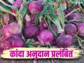 Kanda Anudan : तुमचंही कांदा अनुदान रखडलंय? नाशिकसह 'या' जिल्ह्यांतील शेतकऱ्यांना प्रतीक्षा  - Marathi News | Latest News Kanda Anudan Onion subsidy pending for 9 thousand farmers in Nashik district see details | Latest agriculture News at Lokmat.com