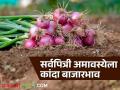 Kanda Bajarbhav : सर्वपित्री अमावस्येला लासलगाव-निफाड बाजारात काय भाव? वाचा कांदा बाजारभाव  - Marathi News | Latest News Kanda Bajarbhav onion market price in Lasalgaon-Nifad market on Sarvapitri Amavasya see details | Latest agriculture News at Lokmat.com