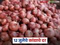 Kanda Market : लासलगाव कांदा मार्केटला काय दर मिळाला, आजचा नाफेडचा भाव किती?  - Marathi News | latest News Kanda market Todays unhal kanda market price in lasalgaon and see nafed onion price | Latest agriculture News at Lokmat.com