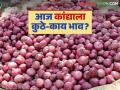 Kanda Market Update : सोलापूर, लासलगाव कांदा मार्केट अपडेट, पहा आजचे बाजारभाव  - Marathi News | Latest News Kanda market Update Solapur, Lasalgaon onion market update, see details | Latest agriculture News at Lokmat.com