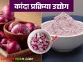 Kanda Prakriya Udyog : पावडरपासून लोणच्यांपर्यंत, असे बनवा कांद्यापासून विविध पदार्थ, वाचा सविस्तर  - Marathi News | Latest News Kanda Prakriya Udyog From powder to pickles, make various dishes from onions, read in detail | Latest agriculture News at Lokmat.com