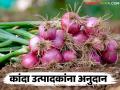 अपात्र ठरविलेल्या कांदा उत्पादक शेतकऱ्यांना दिलासा; अखेर अनुदानाच्या पैशाला मिळाली मंजुरी - Marathi News | Relief for onion farmers who were declared ineligible; Finally subsidy money approved | Latest agriculture News at Lokmat.com