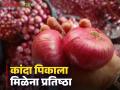 Nashik Onion Issue : कांद्याचे तेच प्रश्न, तीच आंदोलने, दराचा मुद्दा रेंगाळतोय, वाचा सविस्तर  - Marathi News | Nashik Onion Issue Vidhansabha Election 2024 Pending questions on onion rates and export policy remain read in detail | Latest agriculture News at Lokmat.com
