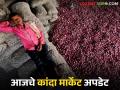 Kanda Bajar Bhav : पुण्यात नंबर एकचा कांदाही बॅकफूटवर, काय मिळाला दर? वाचा सविस्तर - Marathi News | Latest News Kanda Bajar Bhav Todays Number One Onion price down in pune see details | Latest agriculture News at Lokmat.com