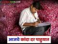 Kanda Market : नाशिक, नागपूर, सोलापूर, पुणे बाजारात कांद्याचे दर काय आहेत? - Marathi News | Latest news kanda market 1 lakh quintals of onion arrived on October 11 see details | Latest agriculture News at Lokmat.com