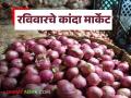 रविवारी कांद्याची आवक कमी झाली, अहिल्यानगर, सोलापूर, पुणे बाजारात काय दर मिळाले?  - Marathi News | Latest News Kanda Market see onion prices in Ahilyanagar, Solapur, Pune markets | Latest agriculture News at Lokmat.com