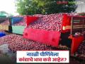 Kanda Market : नारळी पौर्णिमेला राज्यात कांद्याला प्रति क्विंटल काय भाव मिळाला? वाचा सविस्तर  - Marathi News | Latest news Kanda Market Onion prices on August 8, Narali Purnima in maharashtra | Latest agriculture News at Lokmat.com