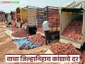 Kanda Market : लासलगाव मार्केटमध्ये लाल, उन्हाळ कांद्याचे दर कसे आहेत, वाचा आजचे बाजारभाव  - Marathi News | Latest news Kanda Bajarbhav prices of lal and unhal onions in Lasalgaon market see details | Latest agriculture News at Lokmat.com