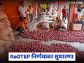 केंद्र सरकारच्या RoDTEP निर्णयावर 24 तासांत सुधारणा, कांद्यासह इतर शेतमालाला दिलासा  - Marathi News | Central government's RoDTEP decision amended within 24 hours, relief for onion and other agricultural products | Latest agriculture News at Lokmat.com
