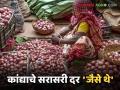 Kanda Market : कांद्याच्या सर्वाधिक आणि सरासरी दरात फरक का आहे? वाचा सविस्तर  - Marathi News | Latest News Kanda Market difference between highest and average price of onions Read in detail | Latest agriculture News at Lokmat.com