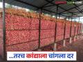भविष्यात कांद्याला चांगला दर पाहिजे असेल तर साठवणुकीपूर्वी व साठवणुकीत करा हे उपाय - Marathi News | If you want a good price for onions in the future, follow these simple steps before and during storage | Latest agriculture News at Lokmat.com