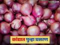 Kanda Market Update : कांदा दरात पुन्हा घसरण, सोलापूर, लासलगाव बाजारात 'इतक्या' रुपयांनी घसरले?  - Marathi News | Latest News Kanda Market Update todays Onion prices fall by Rs 400 to Rs 500 see kanda bajarbhav | Latest agriculture News at Lokmat.com