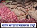 कर्नाटकातून नवीन कांद्याच्या ४५ हजार गोण्यांची सोलापूर बाजारात आवक; वाचा काय मिळतोय दर? - Marathi News | 45,000 bags of fresh onions arrive in Solapur market from Karnataka; Read what is the price being offered? | Latest agriculture News at Lokmat.com