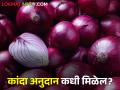 पाच हजार शेतकरी अद्यापही कांदा अनुदानापासून वंचितच - Marathi News | Five thousand farmers are still deprived of onion subsidy | Latest agriculture News at Lokmat.com