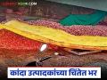एकतर भाव नाही, दुसरं अवकाळीने नुकसान केलं, मुलीचं लग्न राहून गेलं, कांदा उत्पादक चिंतेत  - Marathi News | latest News Onion growers worried as prices are low, unseasonal rains cause damage, daughter's wedding postponed | Latest agriculture News at Lokmat.com