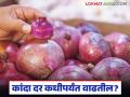 Kanda Market : कांदा बाजारभाव कधीपर्यंत वाढतील, सध्या दर कशामुळे घसरलेत, वाचा सविस्तर  - Marathi News | Latest news Till when will onion market prices increase, why are prices currently falling, read in detail | Latest agriculture News at Lokmat.com