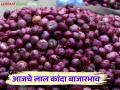 Kanda Market Update : लासलगाव बाजारात लाल कांद्याला काय भाव मिळाला? वाचा आजचे बाजारभाव - Marathi News | Latest News Kanda Market Update Todays red onion market price in Lasalgaon kanda market see details | Latest agriculture News at Lokmat.com