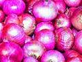लाल कांद्याच्या क्षेत्रात घट - Marathi News | Red onion area decreases | Latest nashik News at Lokmat.com