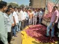 पिंपळनेरला कांदा मार्केट सुरू - Marathi News | Pimplener Onion Market Launched | Latest dhule News at Lokmat.com