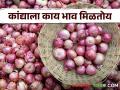 Kanda Market : कांदा दरात घसरण, राज्यातील कुठल्या बाजारात काय भाव मिळाला? वाचा सविस्तर - Marathi News | Latest News Todays Onion Market price in market yards check here kanda market | Latest agriculture News at Lokmat.com