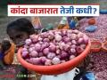 Kanda Market : कांदा निर्यात सुरू झाली तरीही बाजारात अपेक्षित दरवाढ नाही; शेतकरी चिंतेत  - Marathi News | Latest news kanda niryat market Onion exports resume, no price hike in onion market | Latest agriculture News at Lokmat.com
