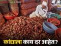Kanda Market : आज 8 ऑक्टोबर रोजी कांदा बाजाराची परिस्थिती काय, काय दर मिळतोय?  - Marathi News | Latest News Kanda Market see today, October 8th onion market prices in lasalgaon mandi | Latest agriculture News at Lokmat.com