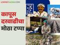 कापसाच्या दराने गाठला महत्वाचा टप्पा; खाजगी व्यापाऱ्याकडून सीसीआय पेक्षा अधिक दर - Marathi News | Cotton prices reach important milestone; Private traders offer higher rates than CCI | Latest agriculture News at Lokmat.com