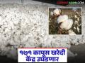 Kapus Kahredi : कापूस खरेदी सुलभ व जलद होण्यासाठी आता ॲग्रीस्टॅकच्या माहितीचा वापर होणार - Marathi News | Kapus Kahredi : Agristack information will now be used to make cotton procurement easier and faster | Latest agriculture News at Lokmat.com
