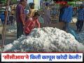 Kapus Kharedi :'सीसीआय'ने किती केली कापूस खरेदी? जाणून घ्या सविस्तर - Marathi News | latest news Kapus Kharedi: How much cotton did CCI purchase? Know in detail | Latest agriculture News at Lokmat.com