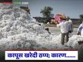 Kapus Kharedi : कापूस खरेदी 'या' केंद्रावर ठप्प; काय आहे कारण वाचा सविस्तर - Marathi News | latest news Kapus Kharedi: Cotton procurement stalled at 'Ya' centre; Read the reason in detail | Latest agriculture News at Lokmat.com